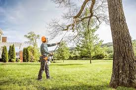 Best Tree Planting Services  in Kailua, HI